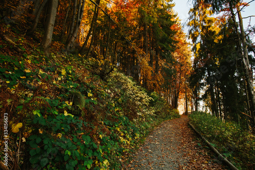 Beautiful autumn sunny Babia Gora