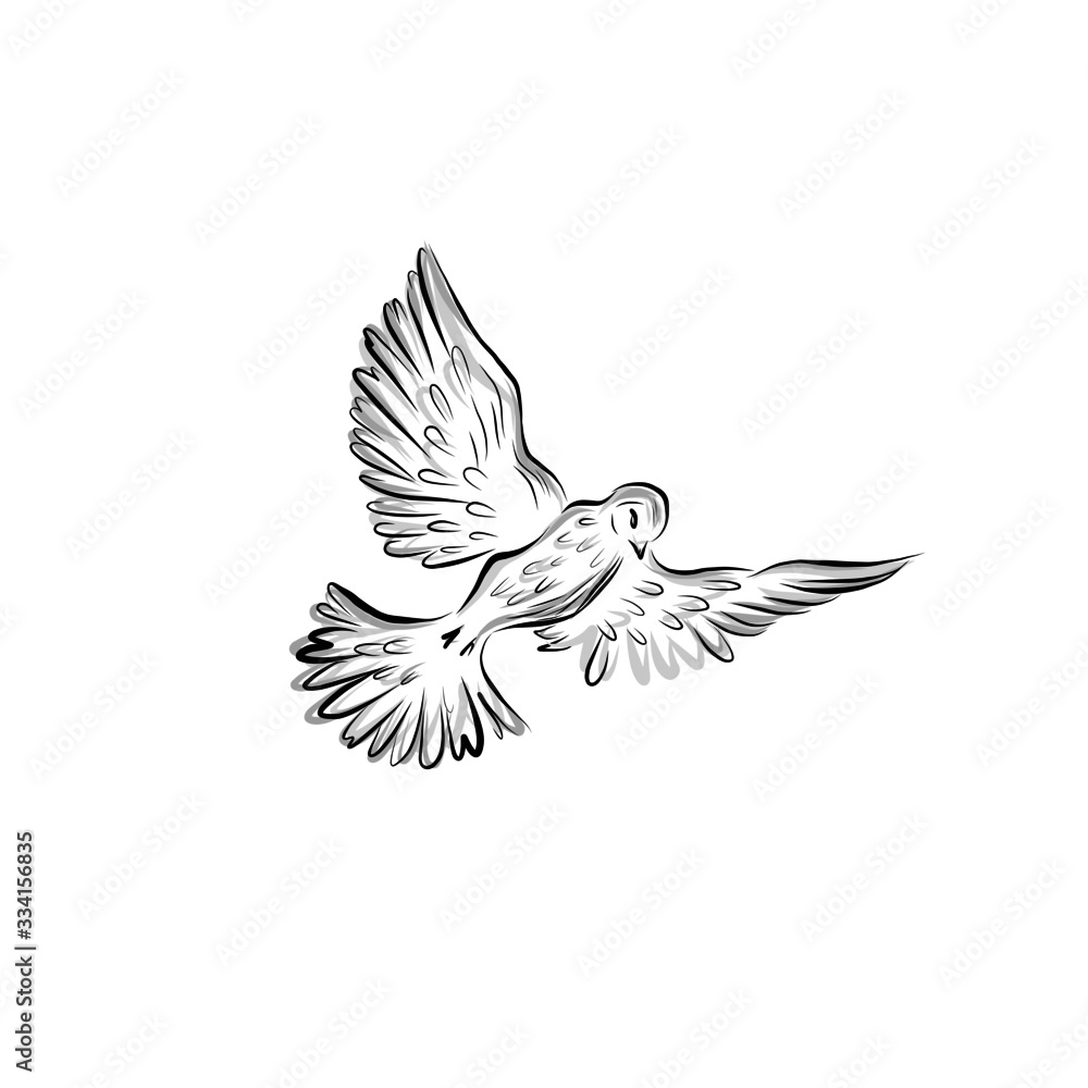Obraz premium flying bird, graphic dove, icon animal 