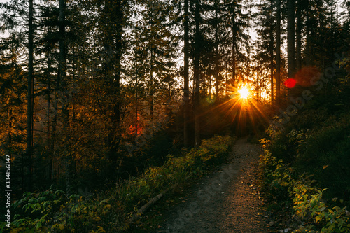 Fototapeta Naklejka Na Ścianę i Meble -  Beautiful autumn sunny Babia Gora