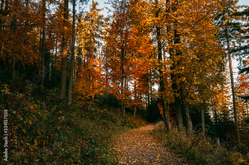 Beautiful autumn sunny Babia Gora © sitriel