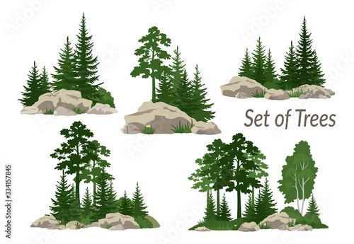 Set Landscapes, Isolated on White Background Coniferous and Deciduous Trees, Flowers and Grass on the Rocks. Vector
