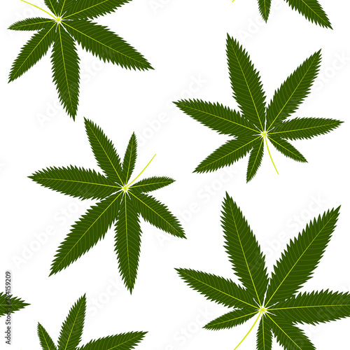 Pattern and leaves of green hemp on a white background vector illustration, textile, print