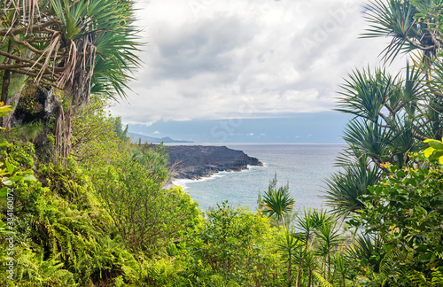 Coast line at  Le Vieux Port  near Saint-Philippe  South coast of island La Reunion 