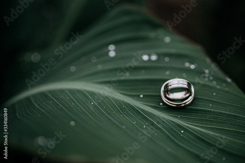 Close-up of wedding rings on plant with water drops