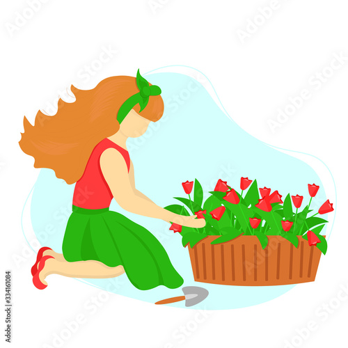 Young woman taking care of red tulips in flower pot. Female character enjoying her hobby. Concept spring gardening work. Illustration in flat style. 