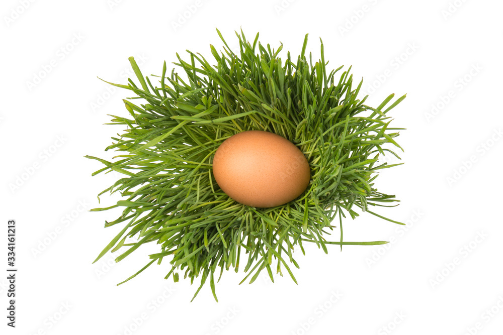Brown eggs on green grass, isolated on white background. Brown eggs on green grass, isolated on white background.