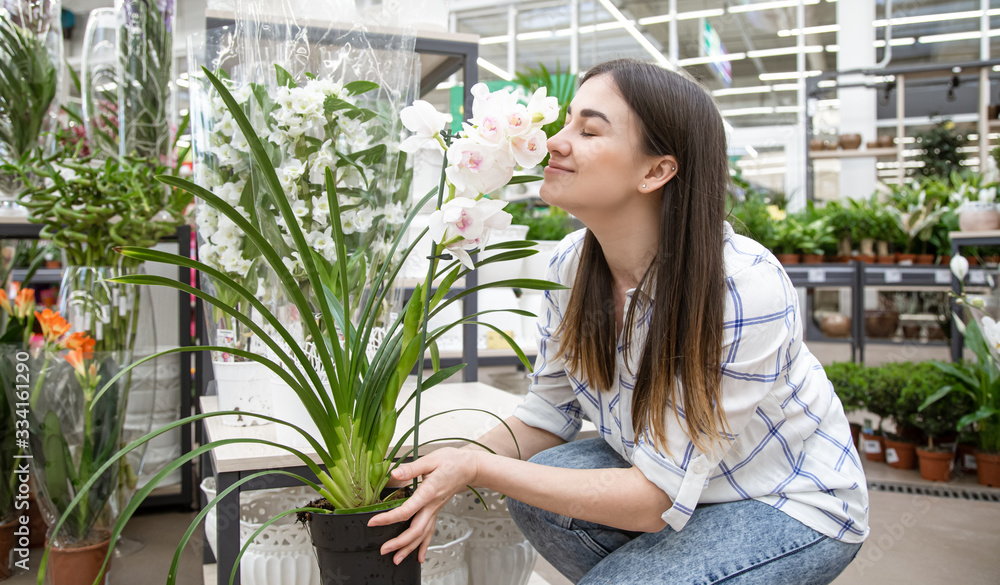 Beautiful young woman in a flower shop and choosing flowers. Beautiful young woman in a flower shop and choosing flowers.