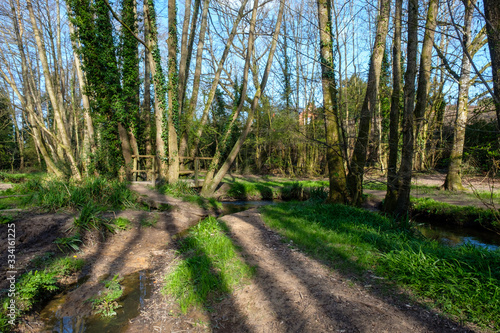 Local walk around Shottermill photo