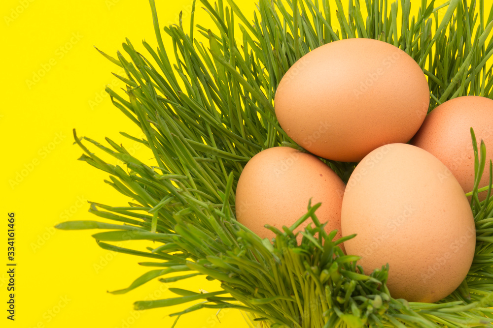 Brown eggs on green grass, isolated on yellow background Brown eggs on green grass, isolated on yellow background
