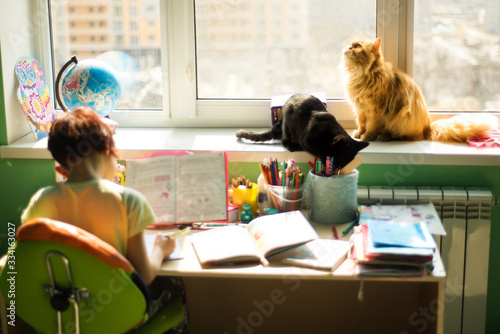 Social distance during quarantine, self-isolation, remote online education concept. School kid in soft focus trying to learn at home in bright colorful room in sunny day with cats on window.