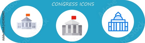 Modern Simple Set of congress Vector flat Icons