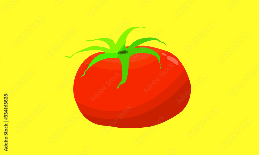 Red tomato vegetable vector Red tomato vegetable vector