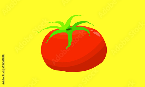 Red tomato vegetable vector