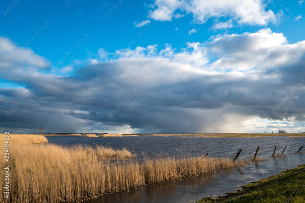 Landscape shot of stormy clouds rolling in with a moor and reeds in the forground Landscape shot of stormy clouds rolling in with a moor and reeds in the forground