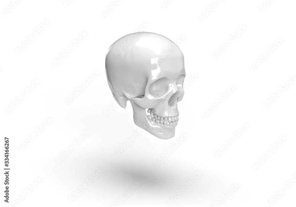 isolated 3d skull model concept