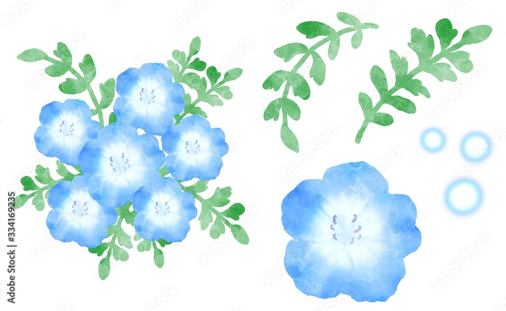 ネモフィラ パーツセット 水彩風イラスト Stock Illustration Adobe Stock