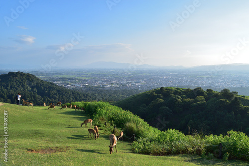 Foto View of Nara Basin from Mt.Wakakusa