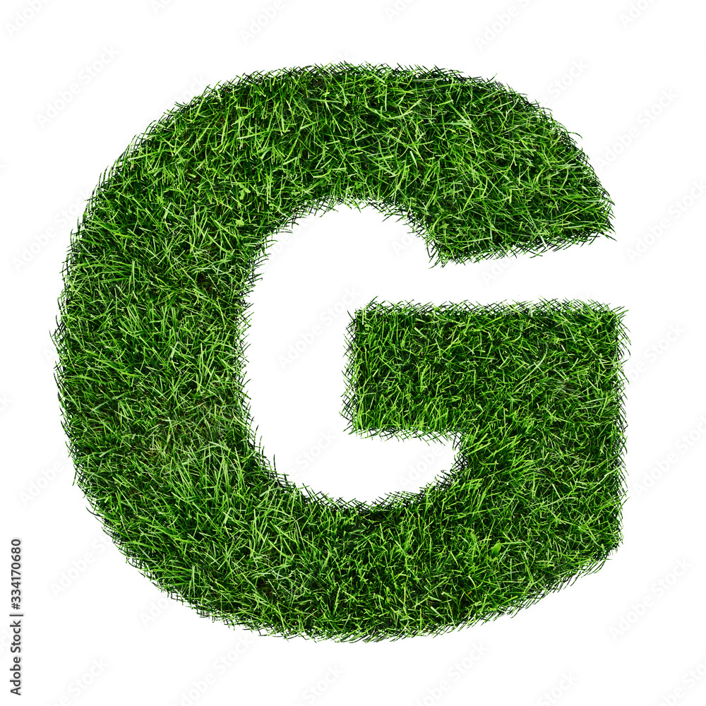 Letter of grass alphabet. Grass letter G isolated on white background ...