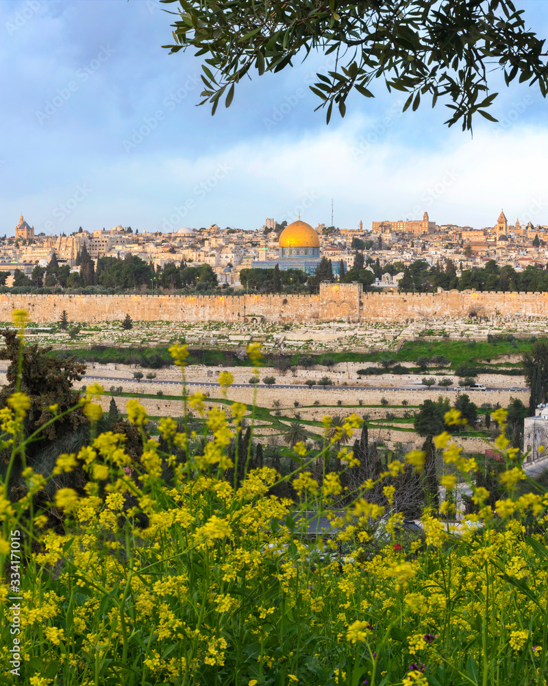 Jerusalem view from Mount of Olives with yellow mustard flowers
