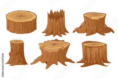 Collection of tree stumps and trunks