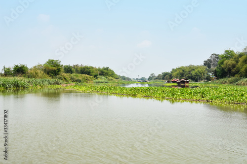 A river in Thailand with aquatic plants and small houses