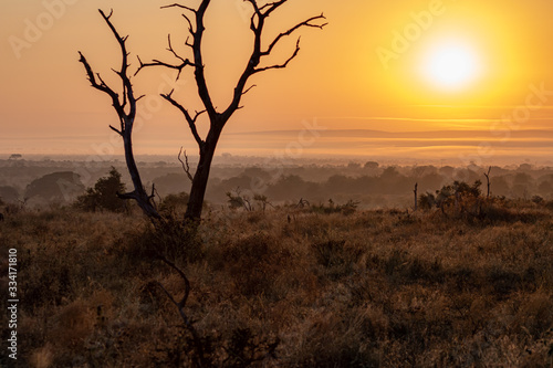 Sunrise in the Kruger National Park