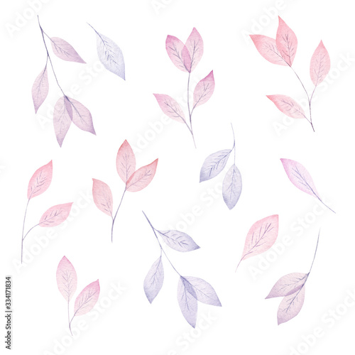 Watercolor leaves  hand drawn floral collection. Illustration on white background.