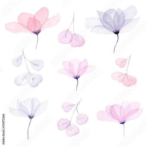 Watercolor floral illustration set. Cute delicate flowers and leaves in neutral pastel color collection.