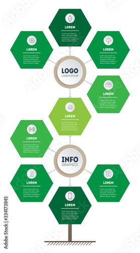 Infographic for green technology or education process with 9 parts. Template of tree or diagram. Vertical eco Business presentation with nine options. Info graphics consisting of hexagons. Vector.