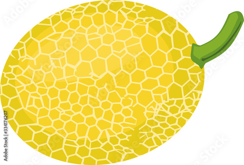 Ripe yellow melon isolated on white background