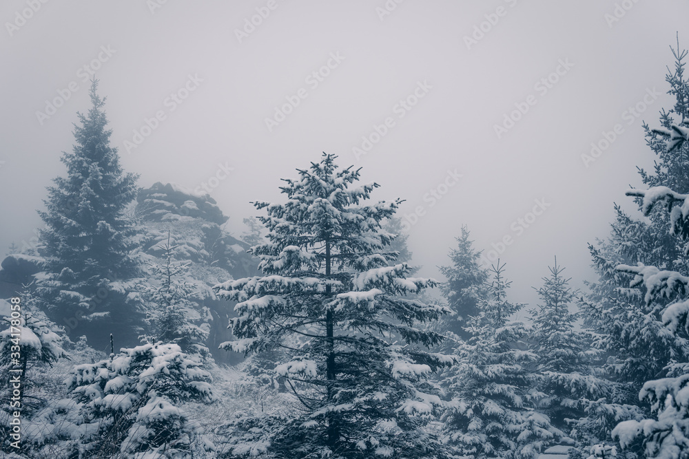 Obraz premium Wälder und Klippen im Winter und Nebel