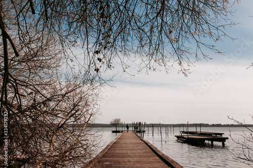 Landscape of a blue lake with a wooden jetty and a large tree. The day is sunny with clouds in the sky. © Nekane