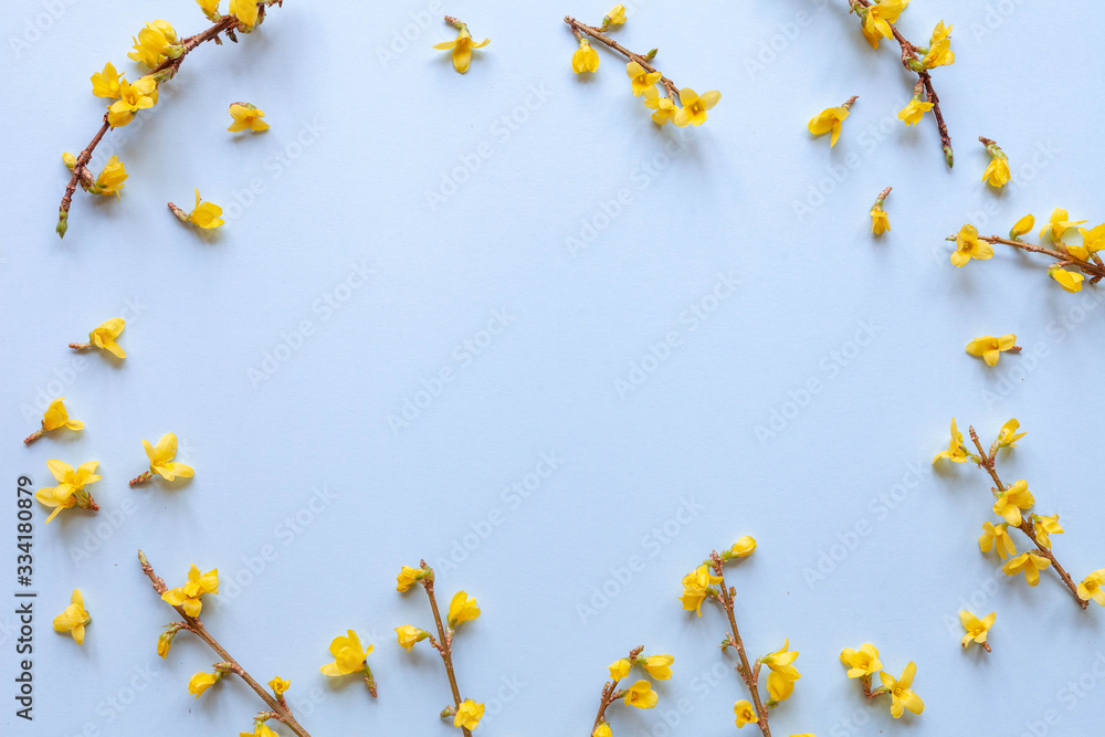 Blue background with yellow flowers. Spring concept.