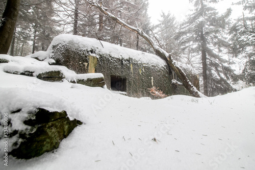 Obraz na płótnie Light fortification from World War in Lusatian mountains w salonie