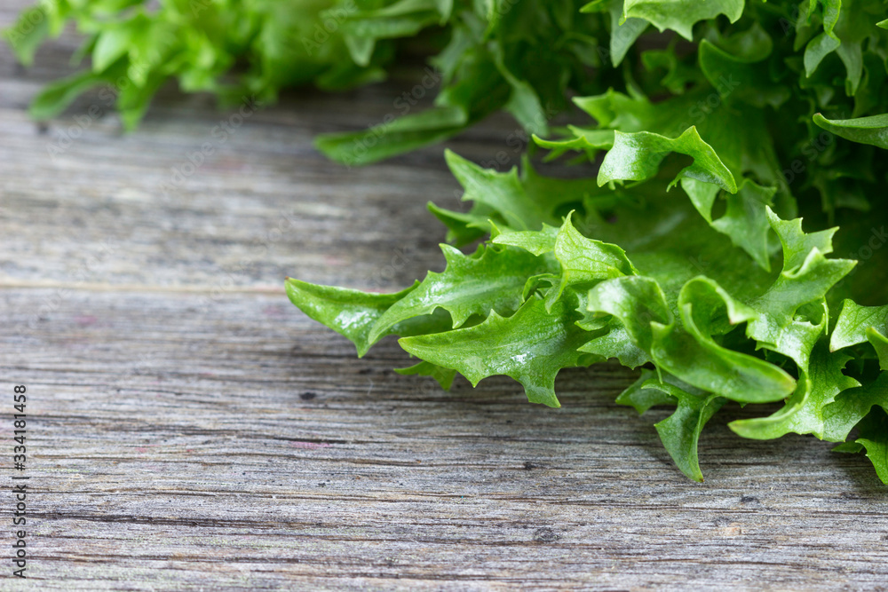 Fresh lettuce on a wooden background. Fresh lettuce on a wooden background.