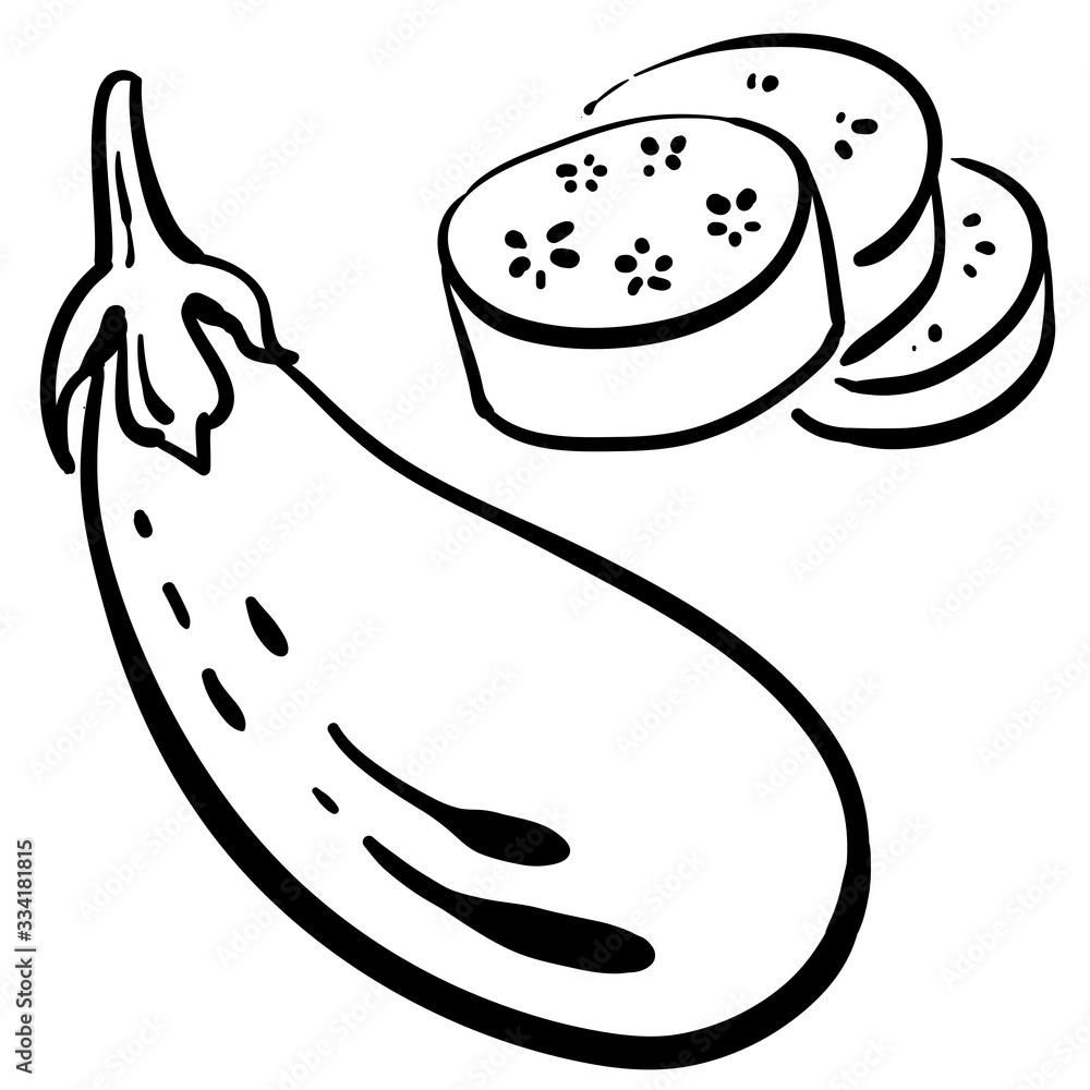 Eggplant, aubergine, slices. Black line sketch of vegetables isolated on white background. Doodle hand drawn vegetables. Vector illustration Eggplant, aubergine, slices. Black line sketch of vegetables isolated on white background. Doodle hand drawn vegetables. Vector illustration