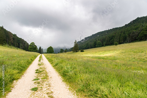 Feldweg in den Bergen