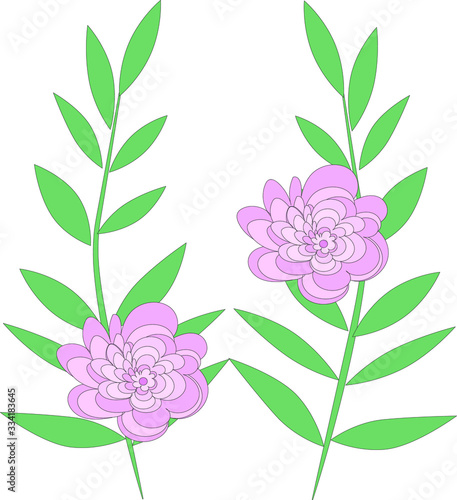 Vector drawing Green stylized twigs with leaves and pink flowers. Garden. Greenhouse. Plants.Herbarium. Print