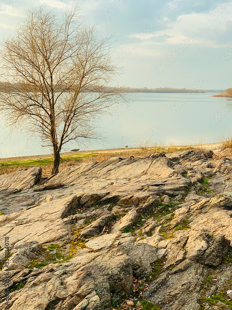 A tree on the banks of the Kremenchug reservoir. Granite rock registry is located on the Dnieper embankment in city Park. Geological monument of nature and old geodetic sign in Kremenchug, Ukraine