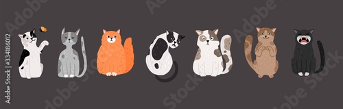 Seated cats. Doodle pets with different emotions. Cute, angry, aggressive and funny cat vector illustration