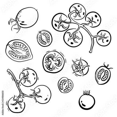 Tomatoes and cherry tomatoes whole and sliced topview. Black line sketch of vegetables isolated on white background. Doodle hand drawn vegetables. Vector illustration