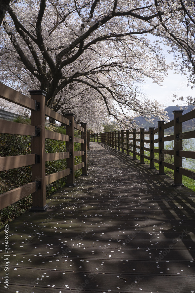 아름다운 섬진강변 산책길