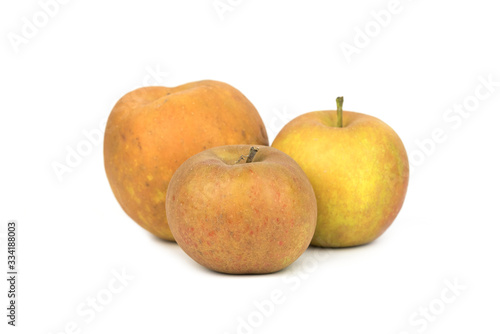 Valokuva Grey hard Reinette Apple - Renetta, Rennet