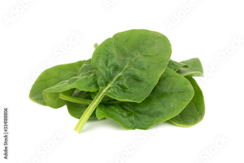 fresh young baby spinach leaves