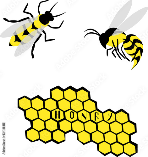 Bee set. Wasps and honey. Lettering. Food, medicine and cosmetology.