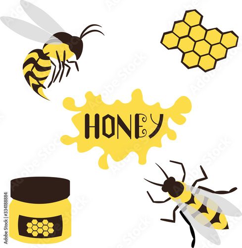 Bee and wasp. Honey, propolis and honeycombs. Food, medicine and cosmetology. Lettering and text.