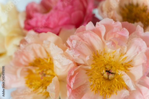 Cuadro en lienzo bouquet peonies of flowers