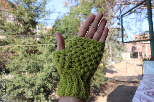 hands holding a plant