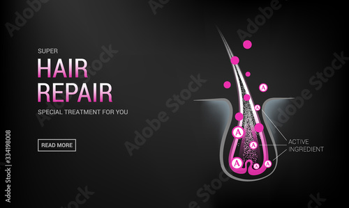 Hair follicles in skin, vitamins, keratin, growth cycle