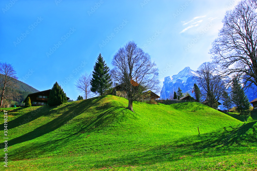 alpejski krajobraz wiosenny 